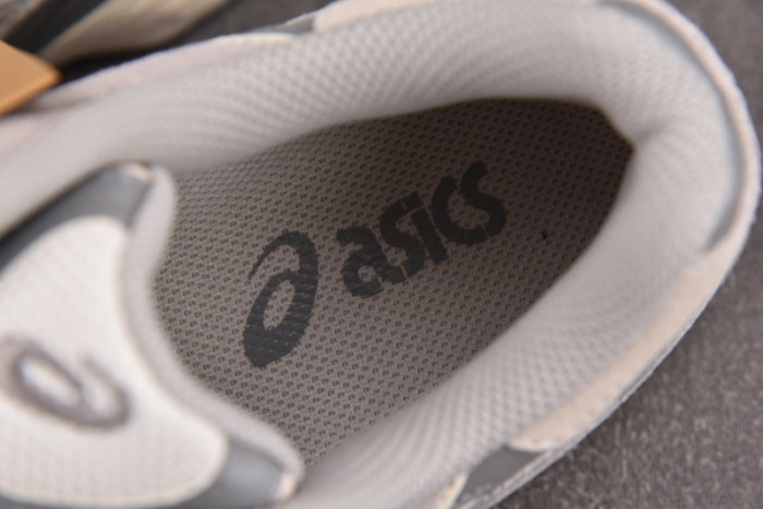 A_SICS GEL AS66