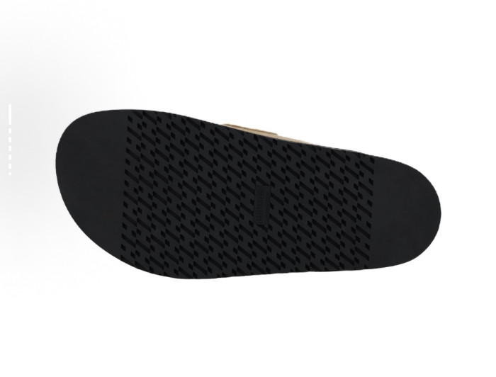HER Slides 2405243